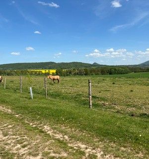 Ein Bauernhof liegt auf dem Weg von Lewin nach Auscha